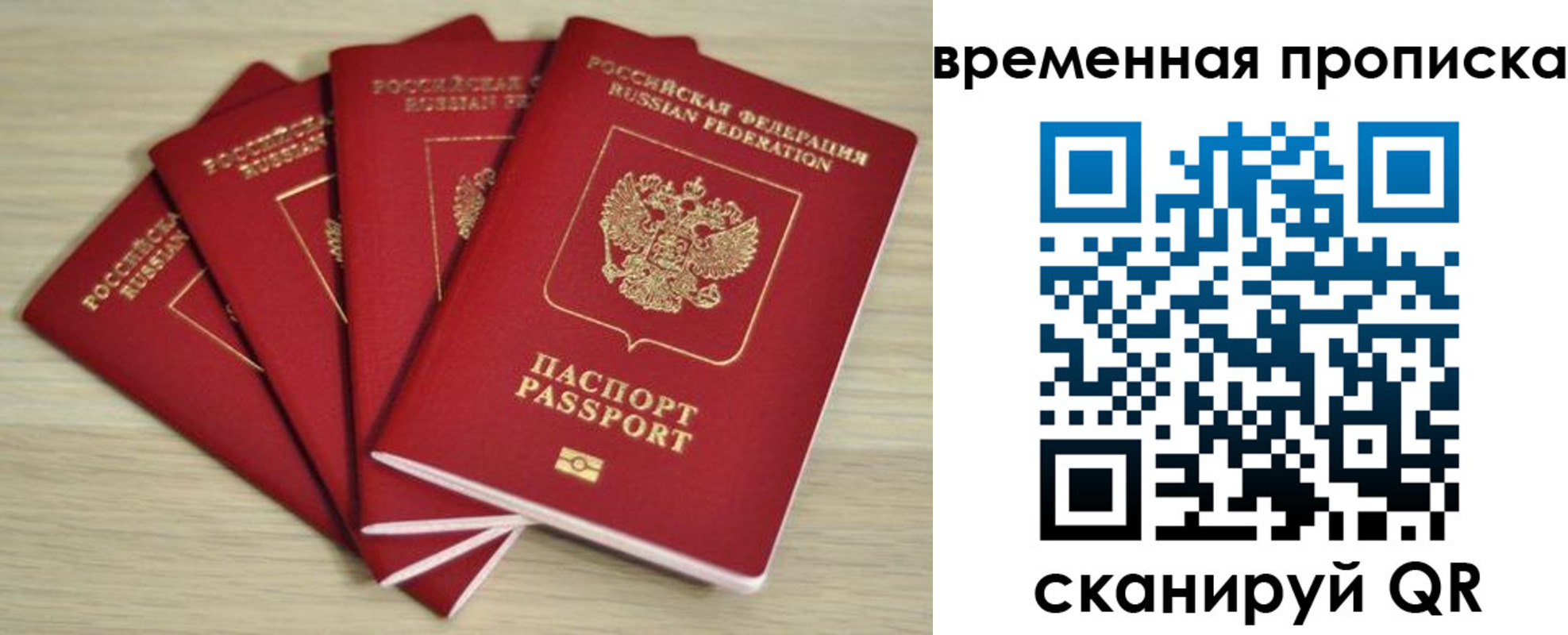 прописка для школы в Козельске