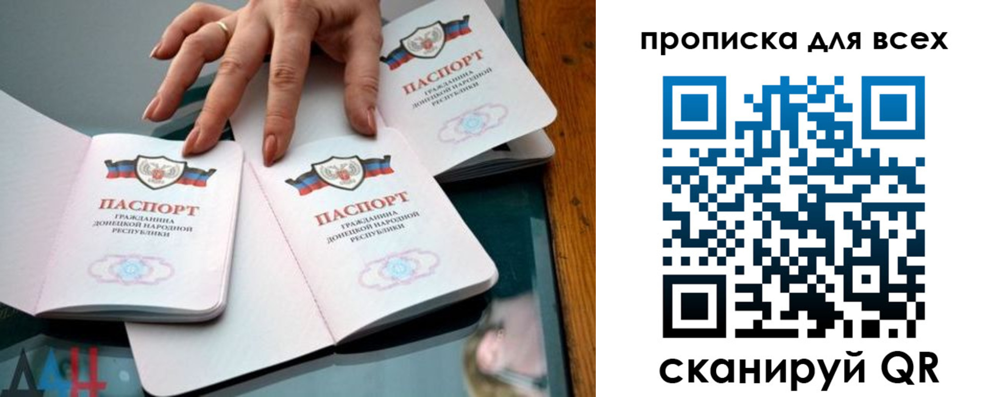 прописка гарантия в Козельске